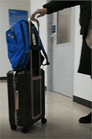 寻物启事行李箱,寻物启事书包类型