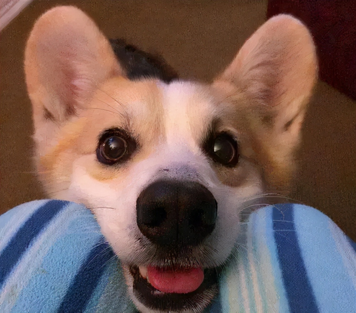 毛孩子吃药吐出来怎么办,毛孩子中毒喝水自救