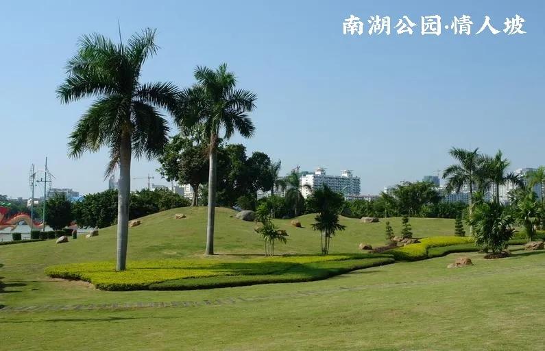 第57篇：花酒旗袍待火车，南园白桥别杏湖（国庆特辑）