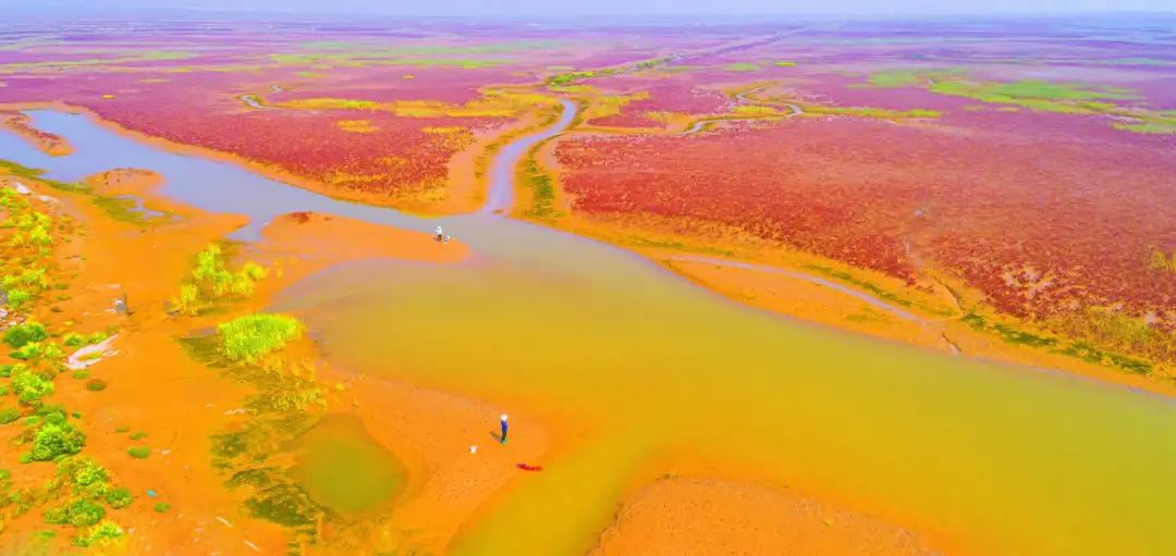 山东这两座小城，集齐了所有令人向往的美景，超级适合自驾！