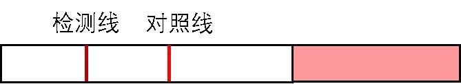 排卵试纸的正确用法,月经前用排卵试纸