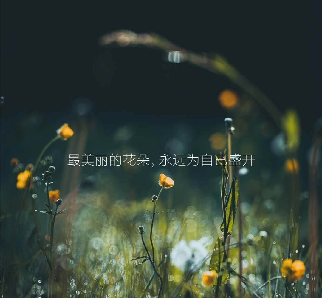 酒店加盟经营许可证,酒店加盟条款