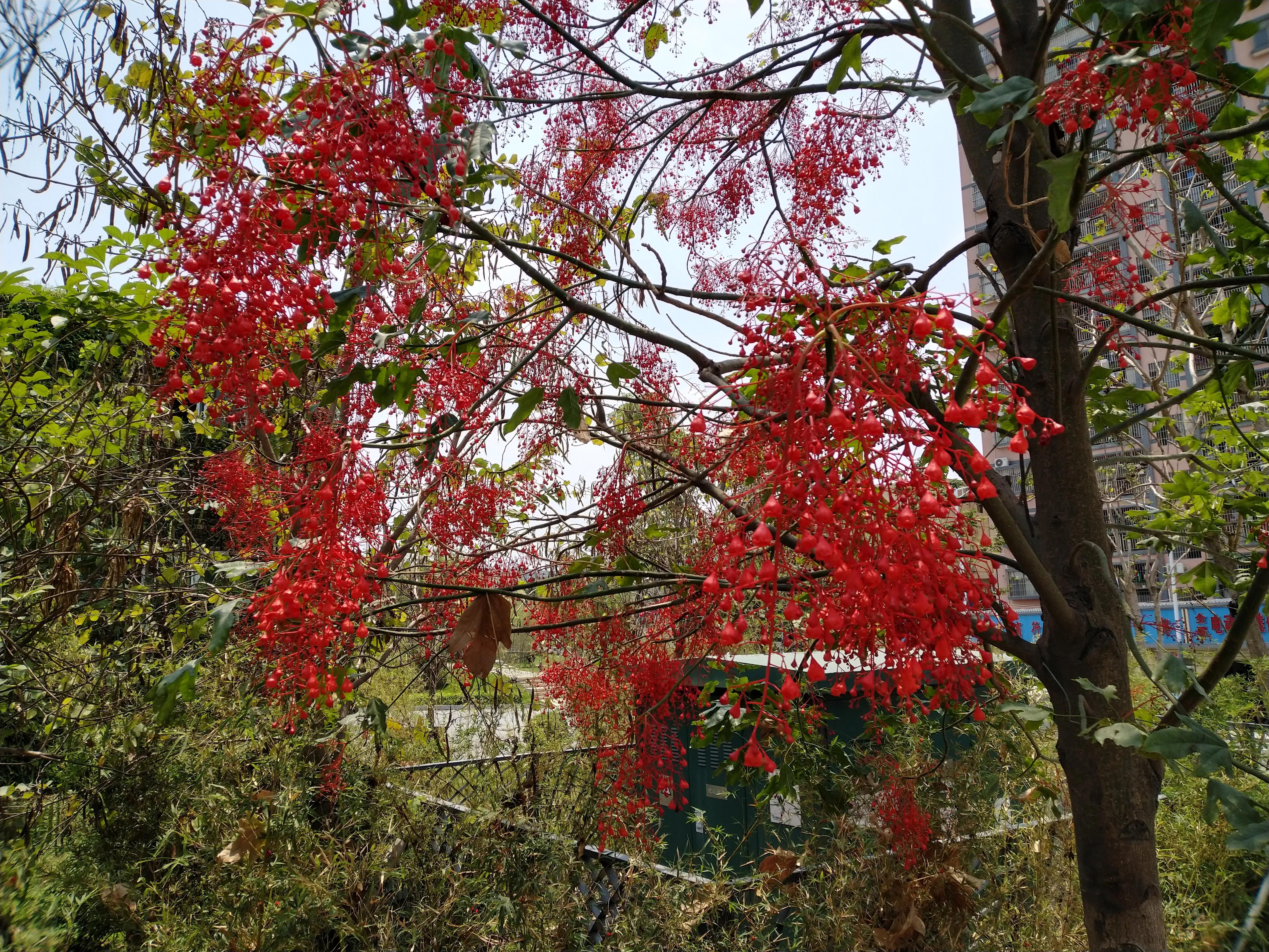 动脉粥样硬化能引起心梗和脑梗,动脉硬化脑梗用哪种中成药适合