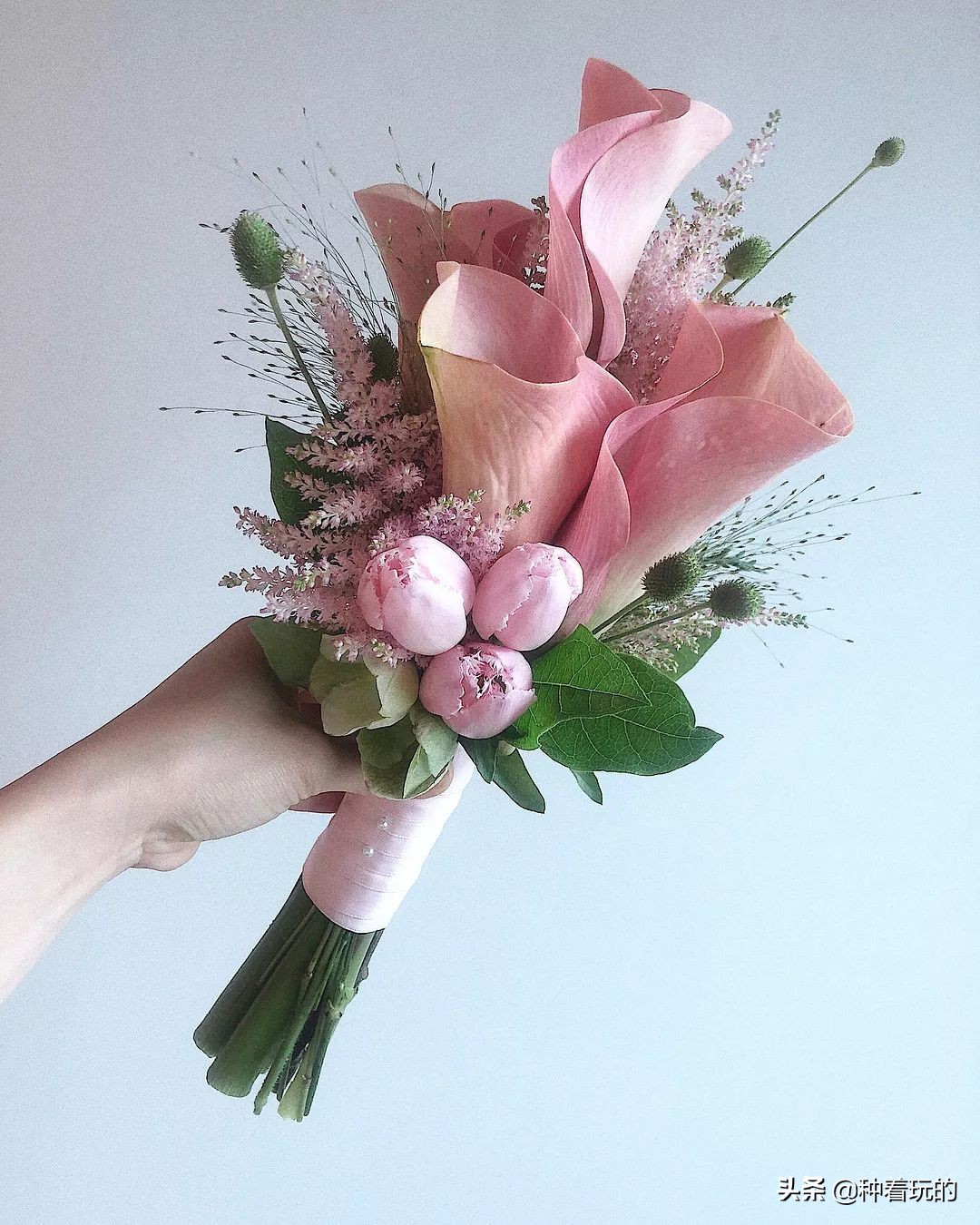 纯洁优雅的少女绽放的马蹄莲从天降落的圣光你心动了吗