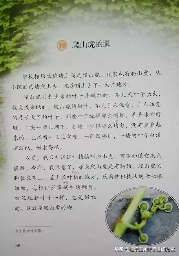 四年级上册语文电子课本,四年级上册语文课本内容