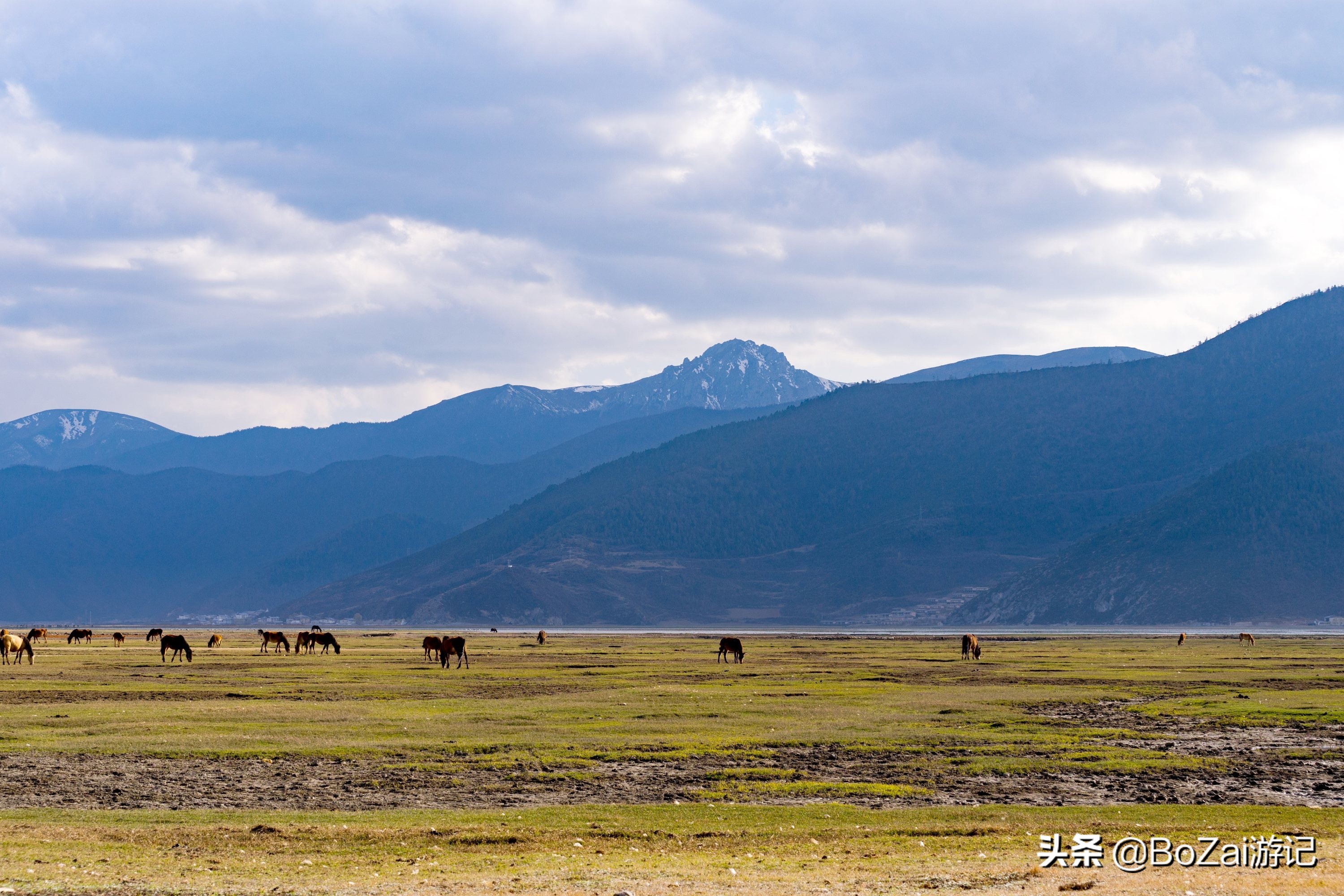 云南迪庆有哪些旅游景点,迪庆最值得去的景点有哪些地方