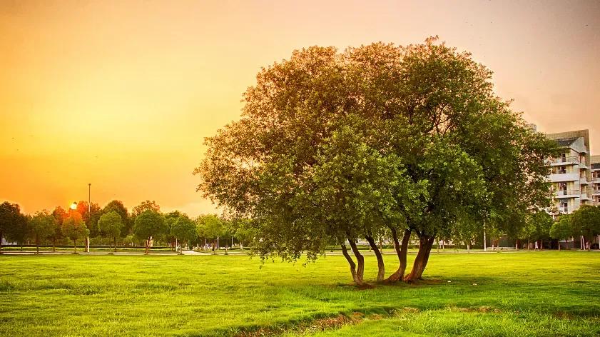 安徽合肥大学二本院校,安徽合肥工业大学