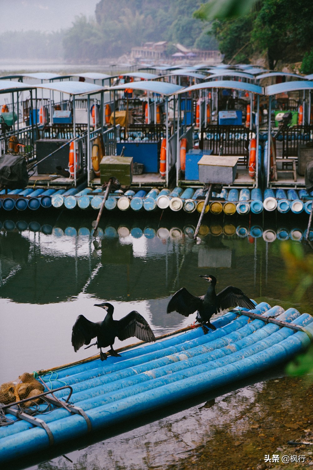 桂林阳朔旅游攻略一天半,最详细桂林阳朔旅游攻略