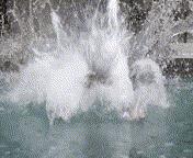 世界最神奇的液体,世界上最神奇的液体有哪些