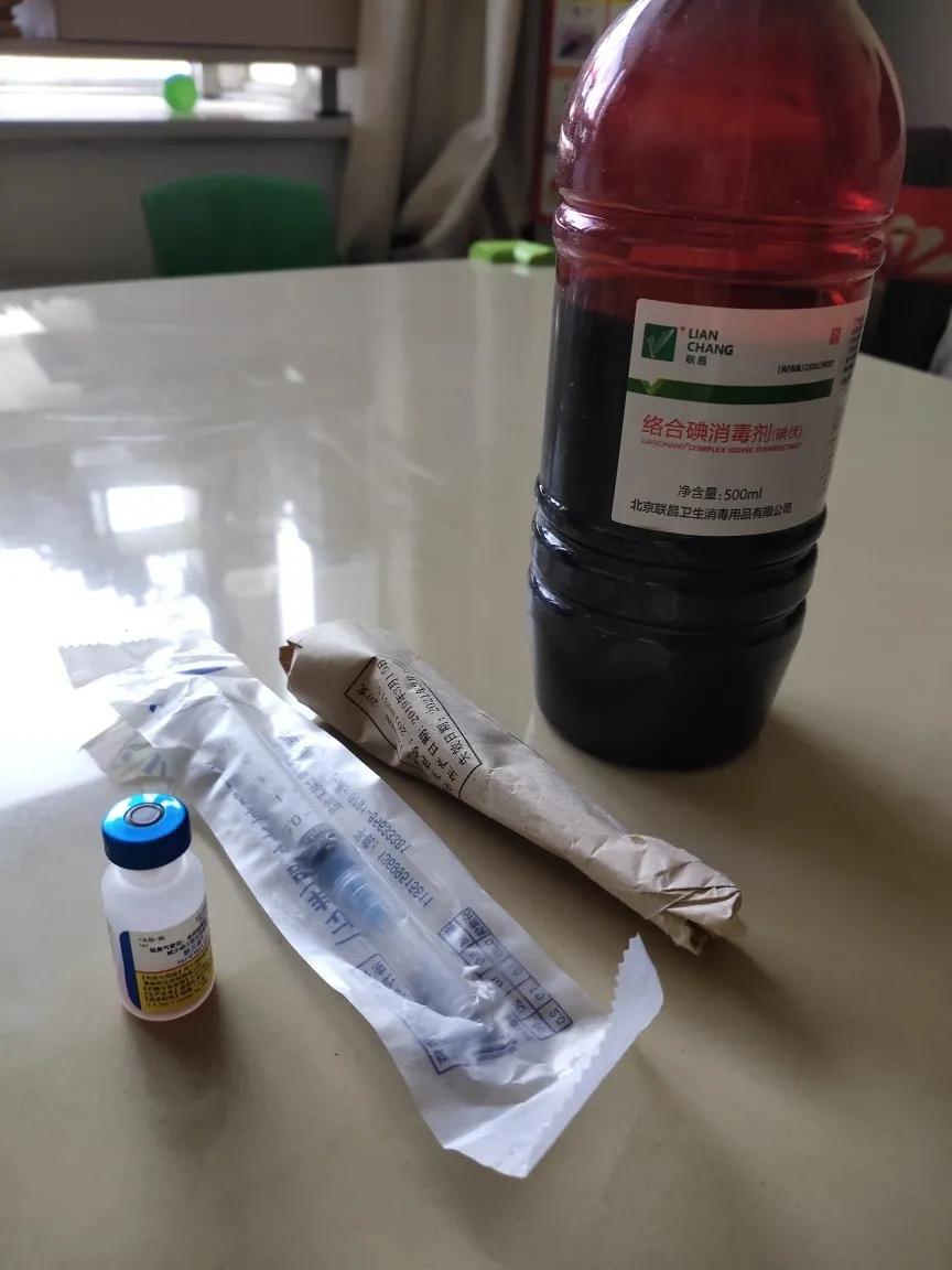 新到家的猫咪打疫苗,去医院打疫苗猫咪