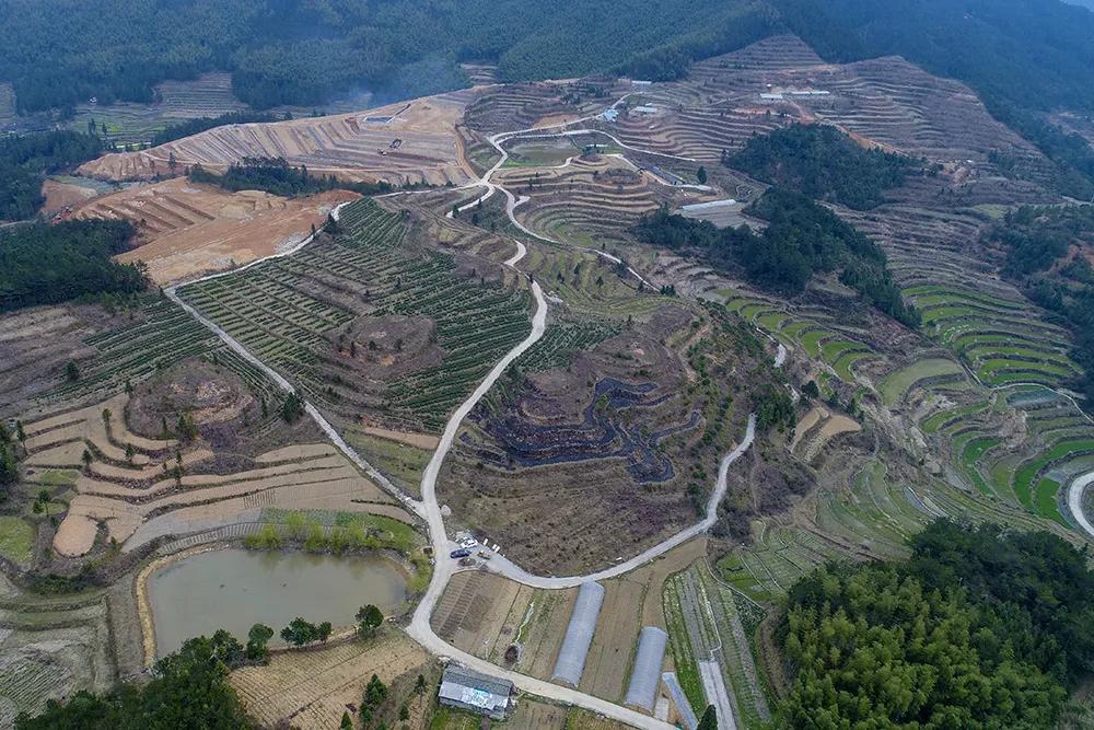 温州永嘉海拔最高的小村落，有座百年农场！很多人没听说过