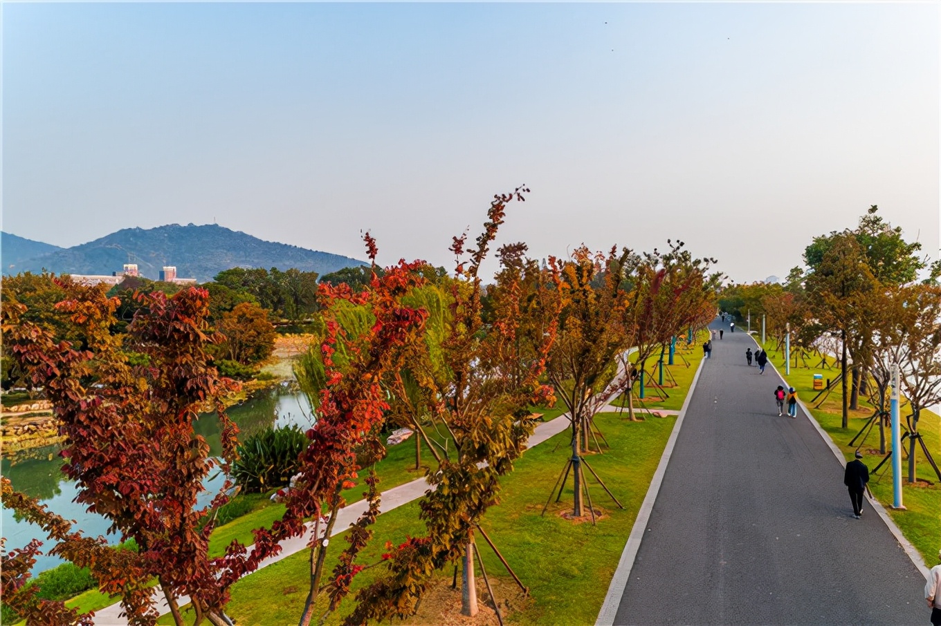 爱运动的小伙伴,爱运动奔跑的人看过来