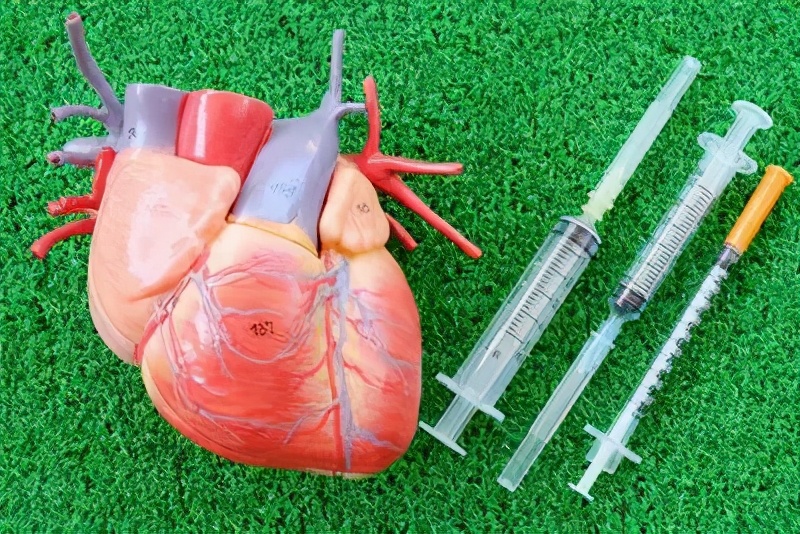 脑供血不足心脏供血不足怎样调理,心脏供血不足时先给哪个器官供血