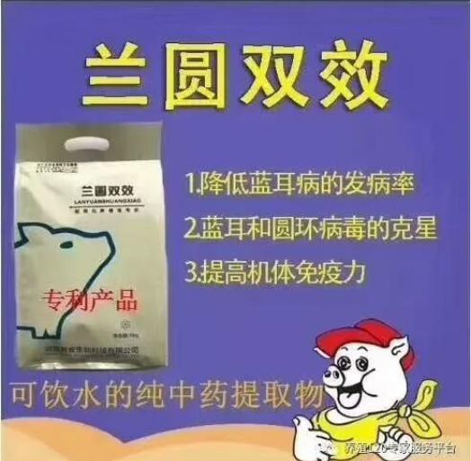 母猪产前少喂料是什么原因,母猪下崽少什么原因