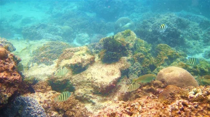 三亚旅游玩水上项目避坑指南,三亚六罗峡谷雨林运动旅游区