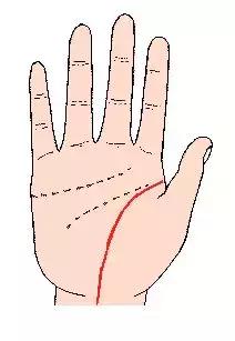 手相解密,手相掌纹分析学
