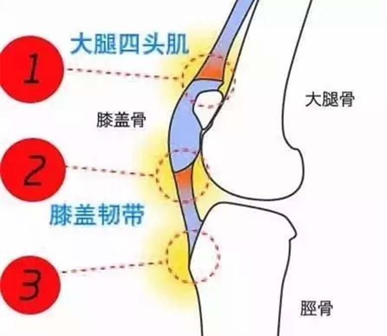 11岁孩子膝盖下方疼是生长痛吗,十四岁孩子膝盖下一点尖骨疼