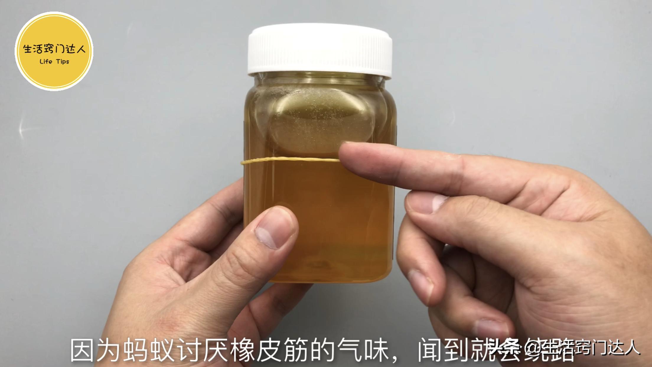 用开水烫蚂蚁有用吗,别用开水烧蚂蚁