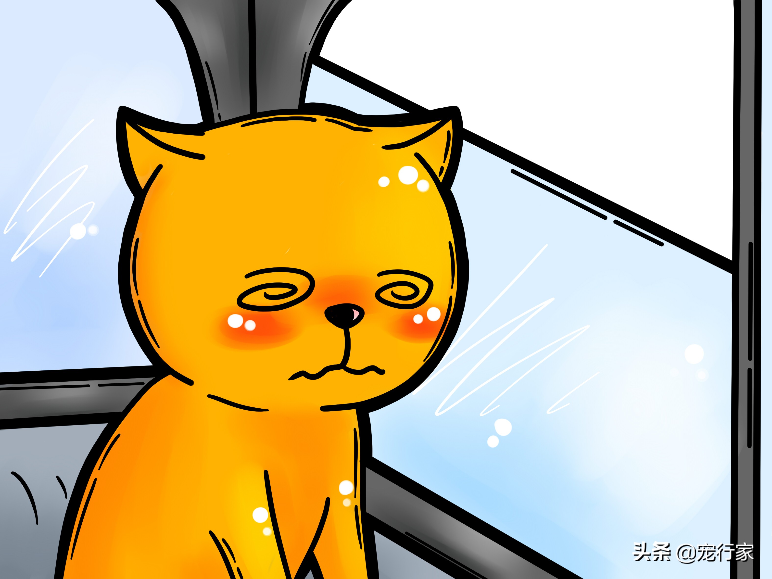 猫为什么会呕吐？如果我家猫呕吐了，我该怎么办？