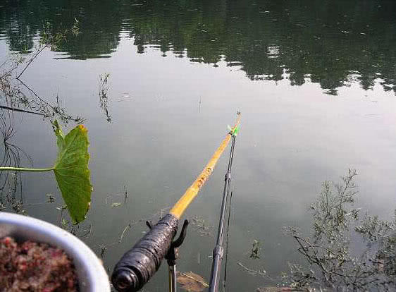 自己动手制作竹竿钓鱼,如何制作简易竹竿钓鱼