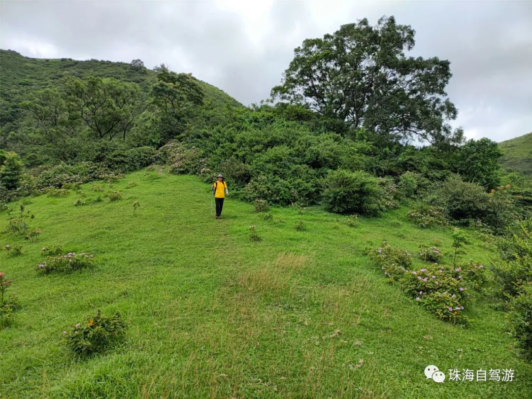 大山峰水牛坪露营记,东岸岭露营徒步