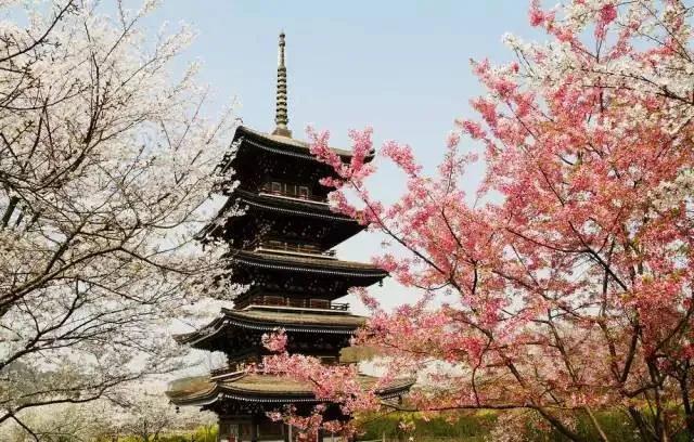 疫情结束后，每个秦皇岛人都想完成的50件小事