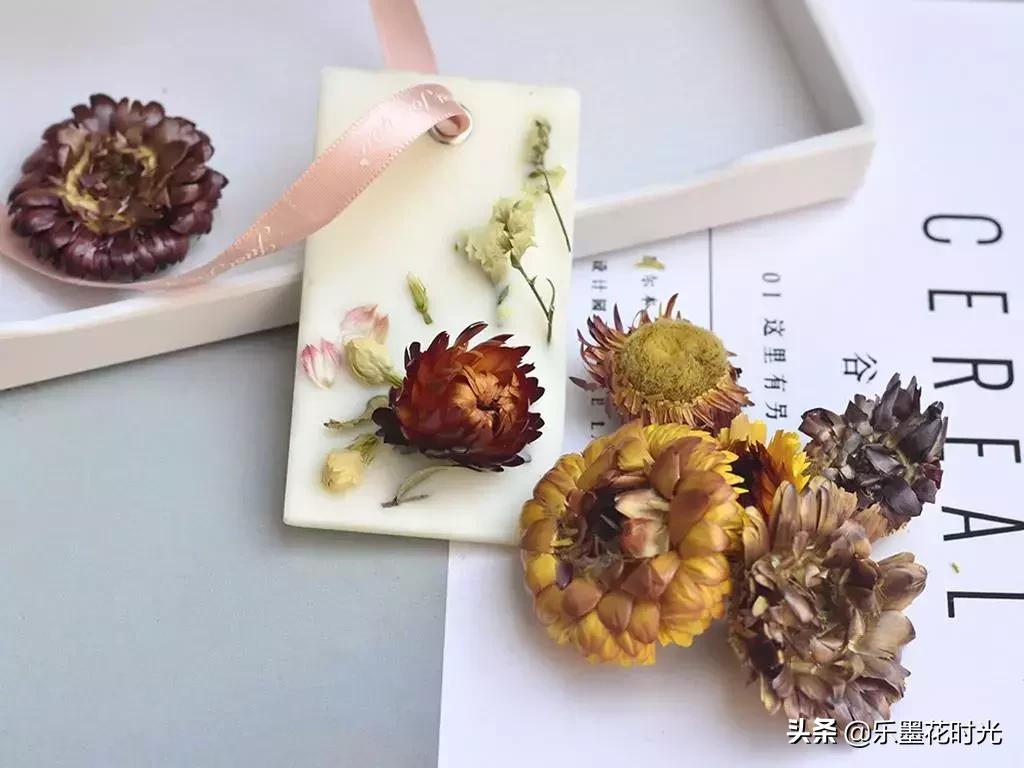 乐墨小程序丨花店里蚊子多，怎么破？