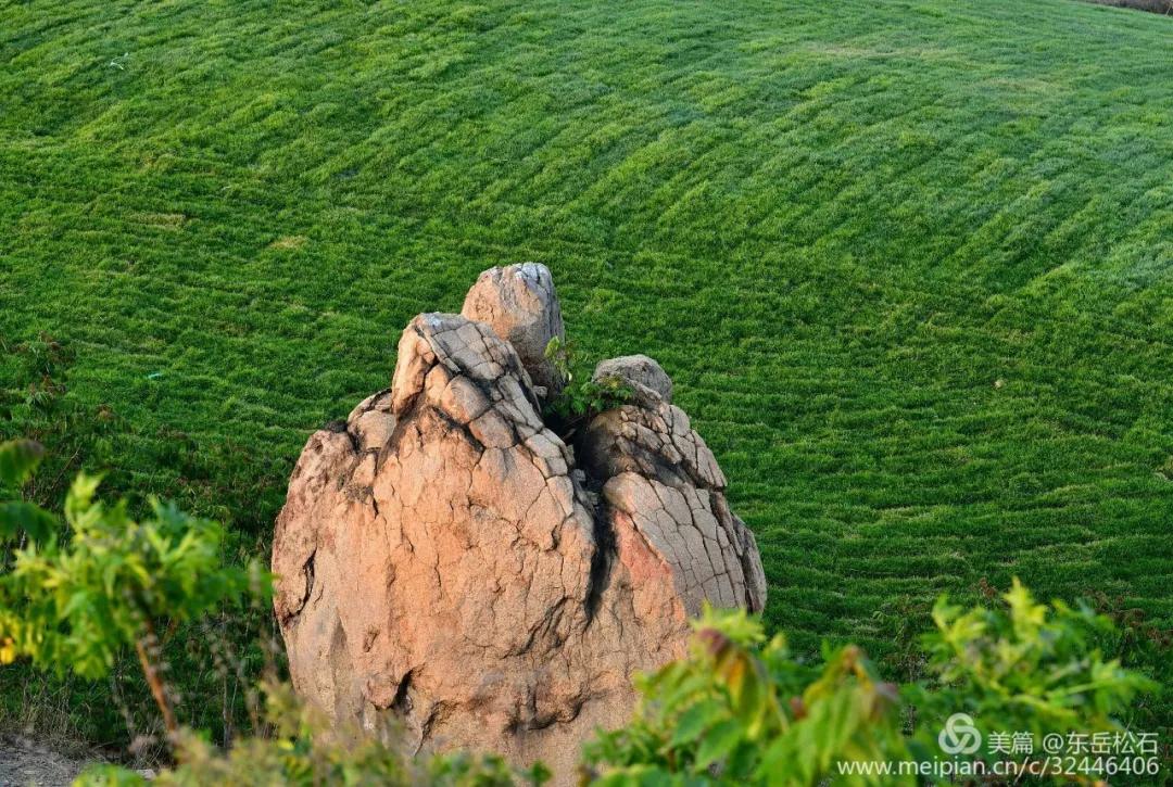 今年的十一长假出游人数会多吗,终于迎来了十一小长假