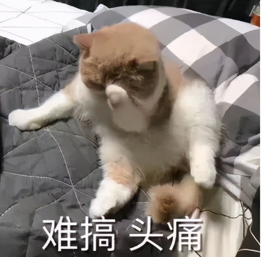 天津市小升初划片一览表最新,天津空港学校最新学区划分