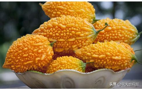 产自印度的食材,原产印度的农作物