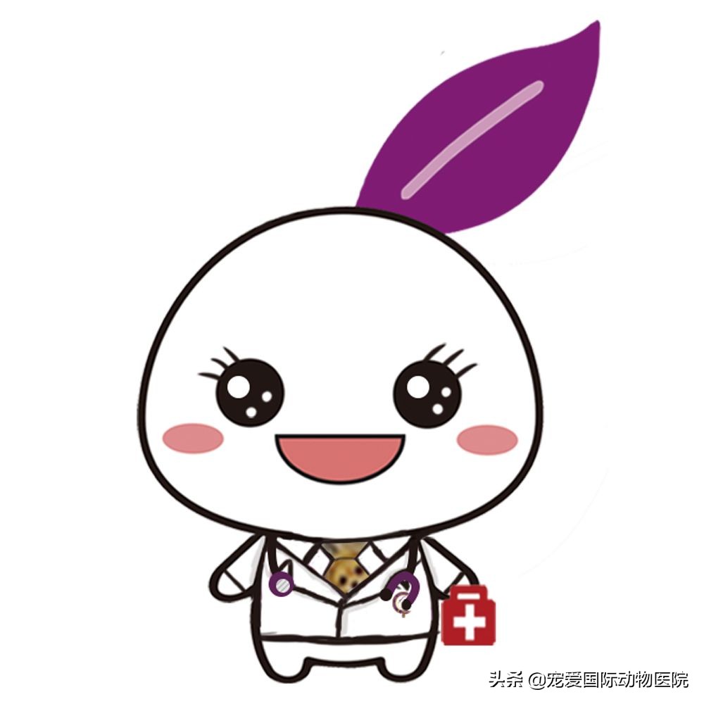 螨虫皮肤病狗狗怎么治疗,狗狗常见螨虫皮肤病用什么药