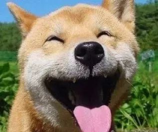 湛江好消息视频,2024年湛江直飞航线