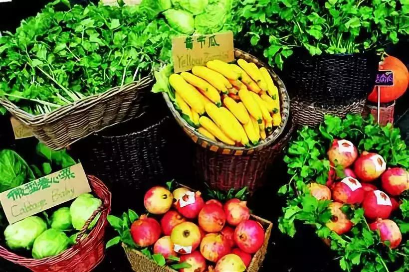 有机农业真实感受,现在的有机农业到底好不好