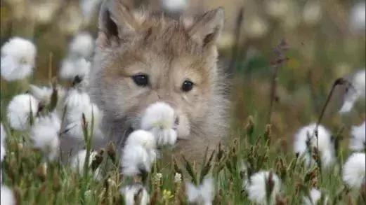 长春家长都领着孩子在干这件事儿，你没做，就落后了！