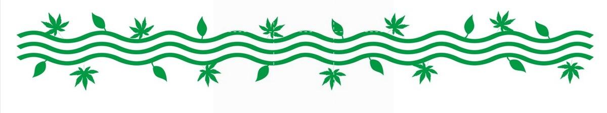 轻松学日语入门,轻松学日语口语入门第1讲