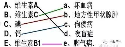 假如被困荒岛吃什么,假如你被困荒岛只能带三样东西