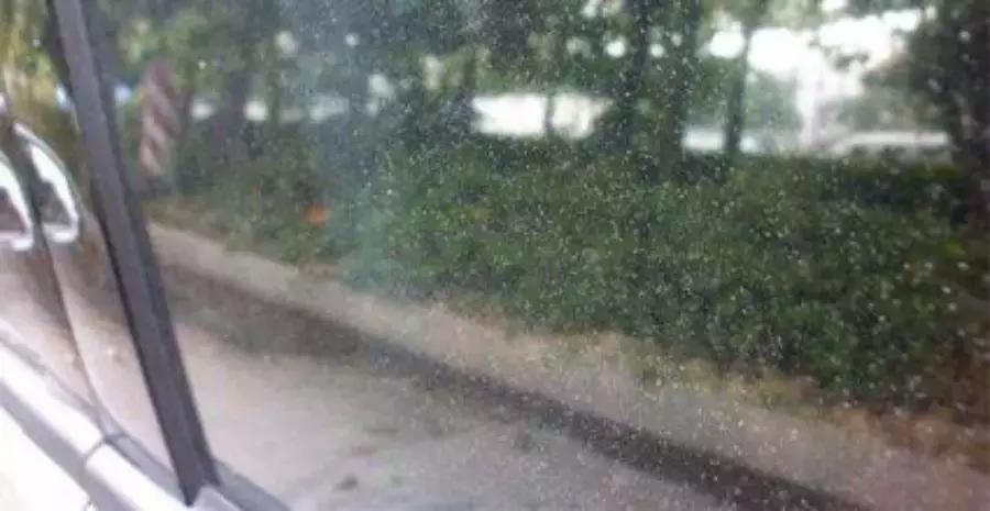 室内窗户玻璃发霉什么原因,门窗发霉有什么办法清理