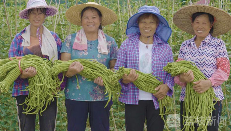 “百城千县万村调研行”|广西柳州:从街头小吃到“网红”,小小螺蛳粉撬动百亿大产业