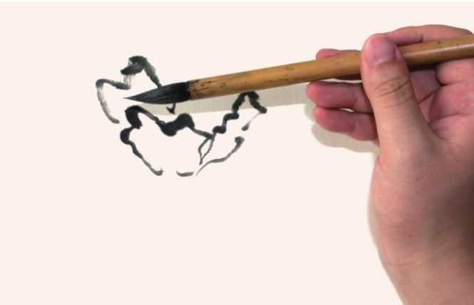 国画牡丹和石头的画法图片,初学国画牡丹花头画法图解