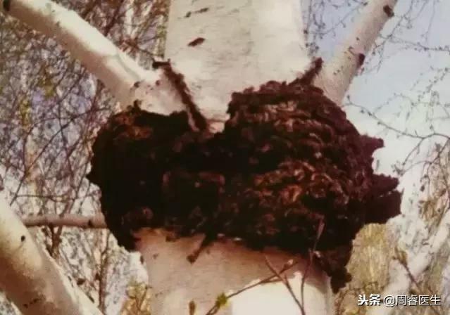 食用菌治疗糖尿病案例,吃什么菌能逆转糖尿病