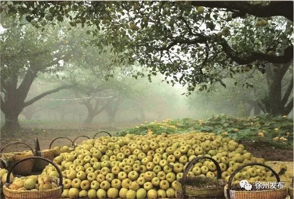 萧县徐州快速通道最新消息,淮徐快速通道经过宿州吗