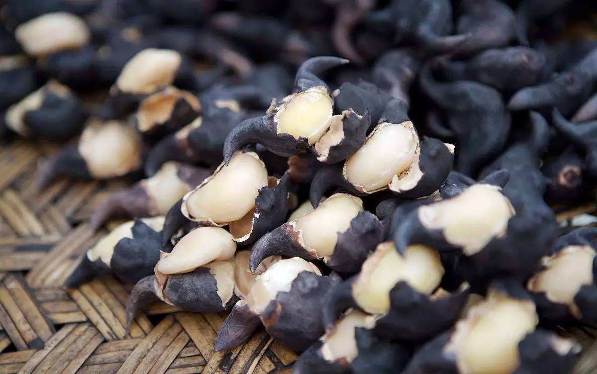 菱妹妹的前世今生,前世今生小说季雨菱