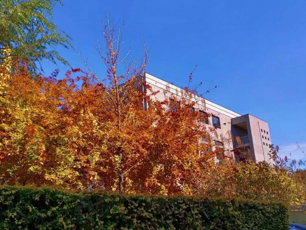 辽宁中医药大学杏林学院独立学院,辽宁中医药大学三个校区