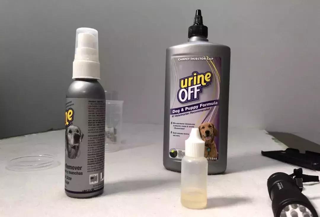 如何运营一家高端宠物店,宠物店萌系造型