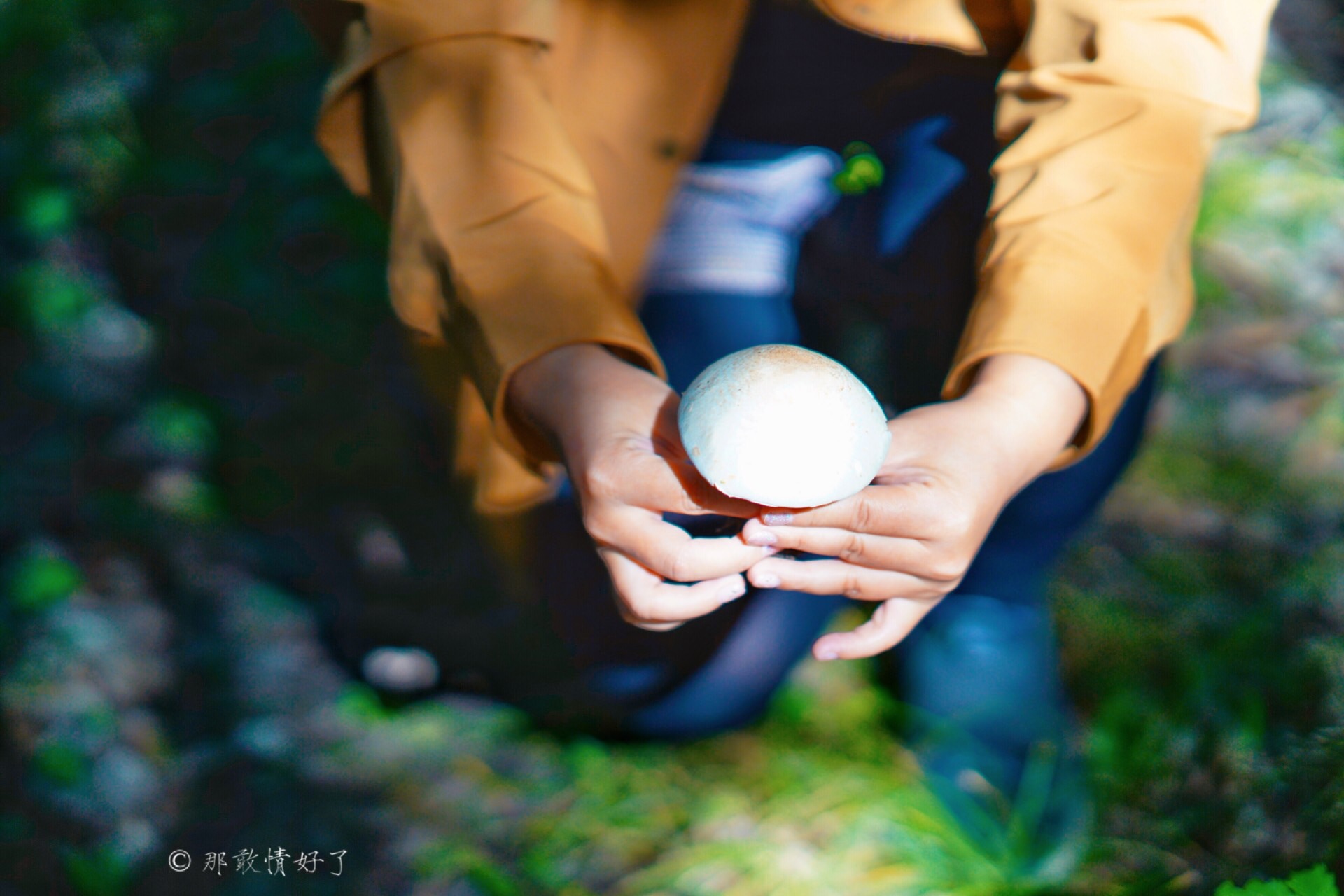 北京北部看红叶自驾线路推荐,冬季京西自驾游最佳线路