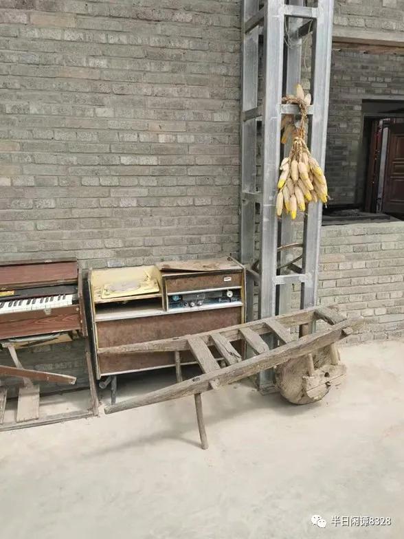 「儿童散学归来早,忙趁东风放纸鸢」小园笔记(十二)