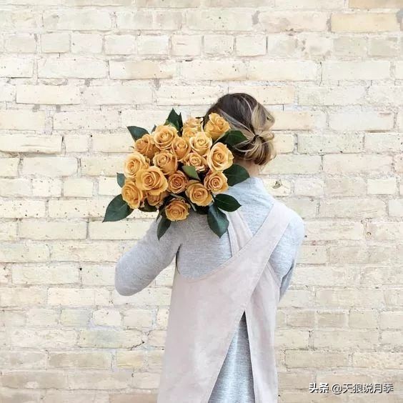 复古色月季什么品种的花好看,值得入手的复古色月季