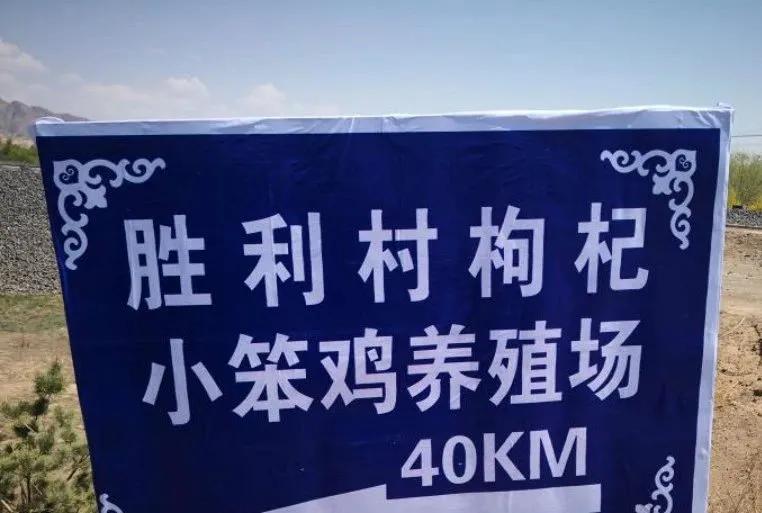 脱贫致富路上的巾帼能手——记赤峰市巴林右旗幸福之路苏木胜利村刘淑凤事迹