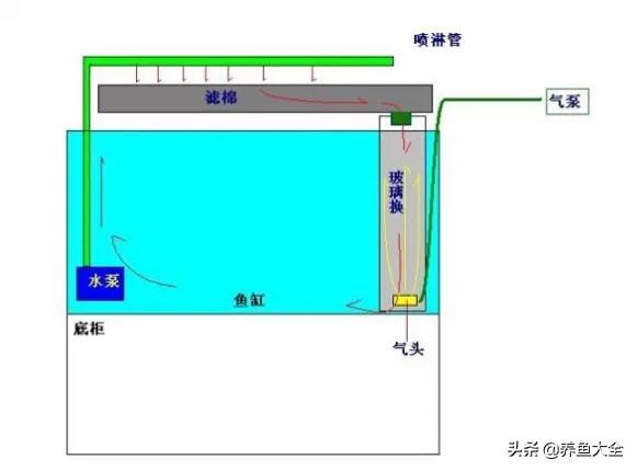 鱼缸过滤详细讲解,学会这一招鱼缸清澈