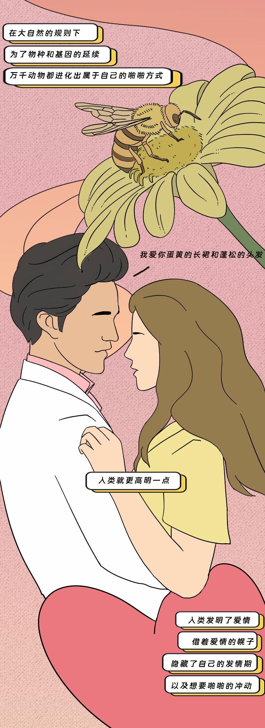 那些羞羞的事:动物是如何啪啪啪的?